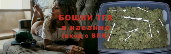 эйфоретик Гусь-Хрустальный