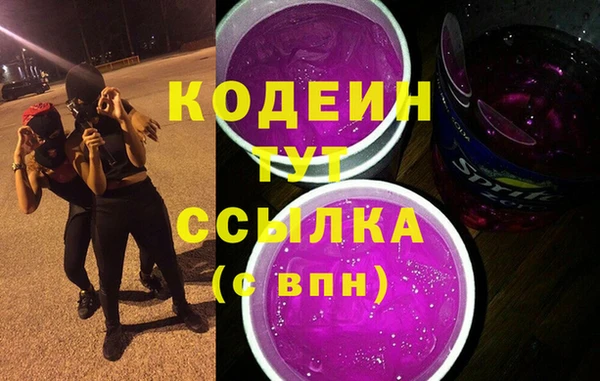 эйфоретик Гусь-Хрустальный