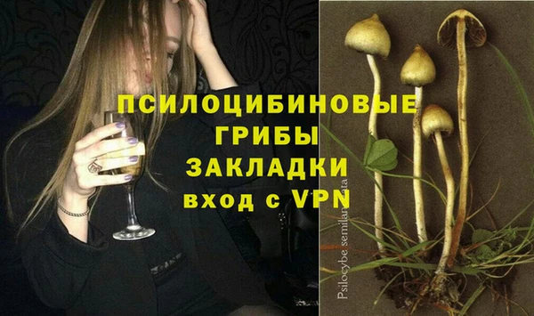 эйфоретик Гусь-Хрустальный