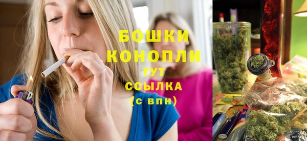 эйфоретик Гусь-Хрустальный