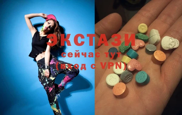 эйфоретик Гусь-Хрустальный