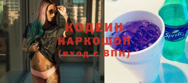 эйфоретик Гусь-Хрустальный